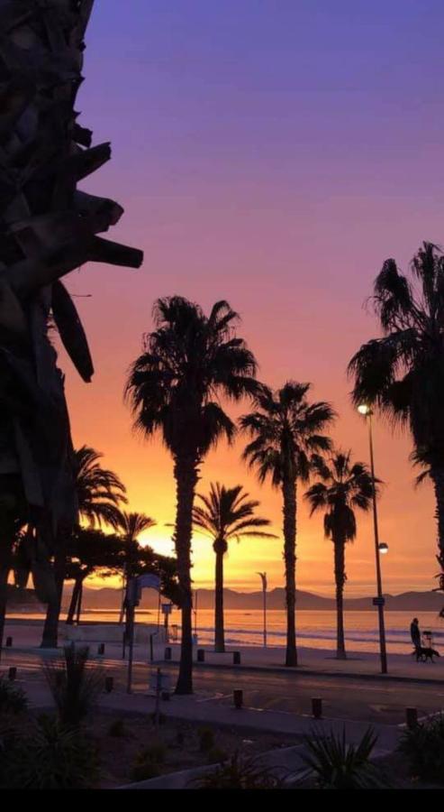 Studio Corniche Leilighet La Ciotat Eksteriør bilde
