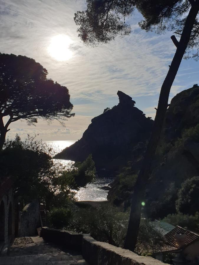 Studio Corniche Leilighet La Ciotat Eksteriør bilde
